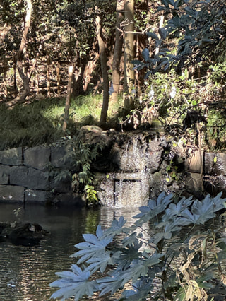 2025年ありがとうございました！