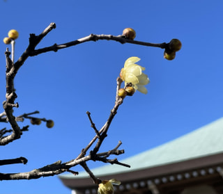 2026年　本年もよろしくお願いいたします